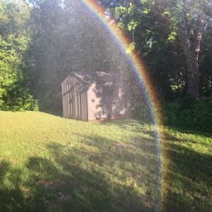 Meet your Posher, Carol